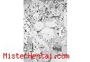 Manga hentai