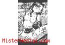 Manga hentai