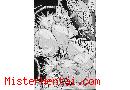 Manga hentai