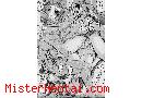 Manga hentai