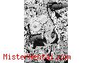 Manga hentai