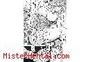 Manga hentai