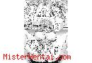 Manga hentai